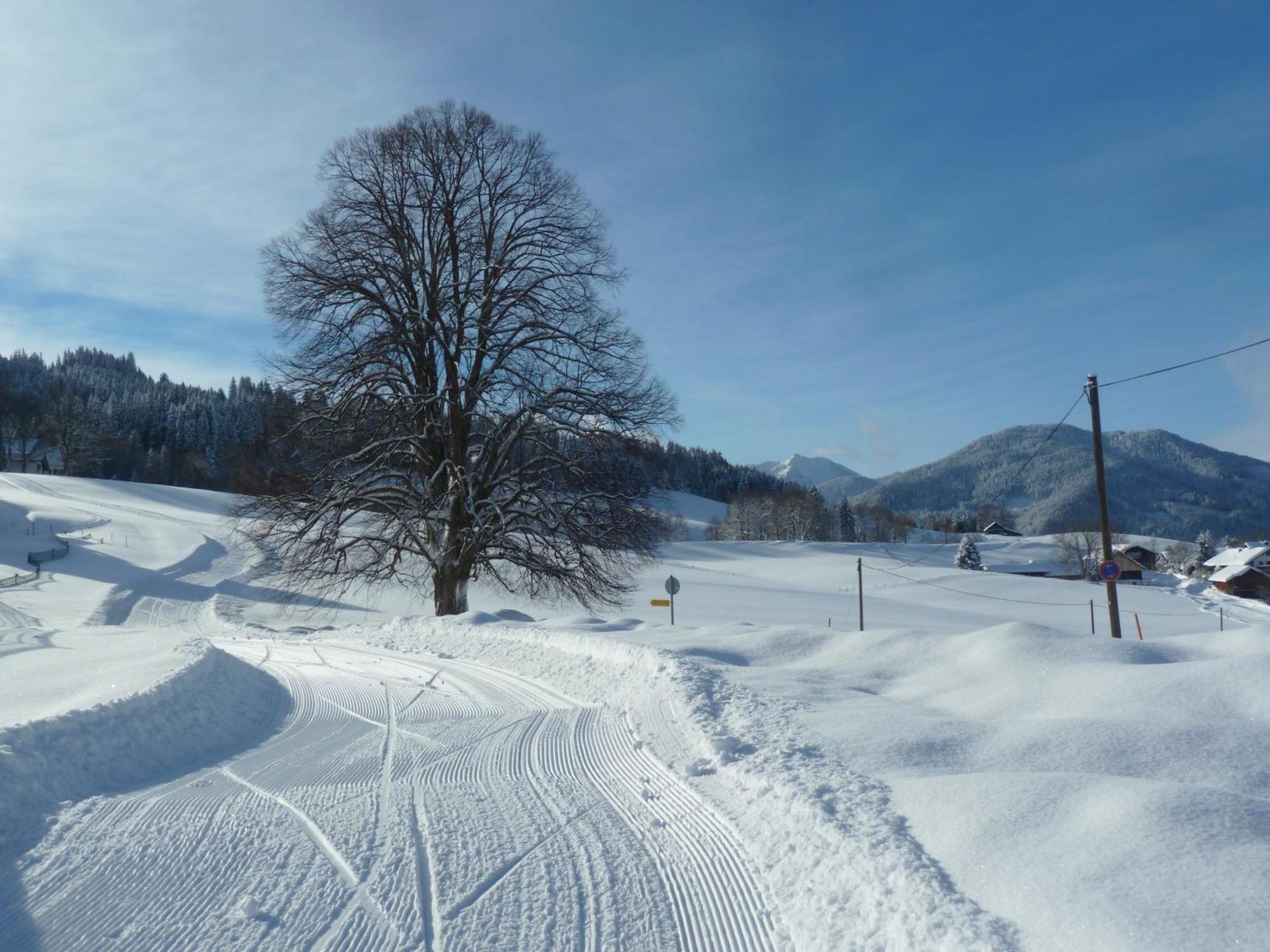 Ferienwohnung Panorama Bad Kohlgrub Buitenkant foto