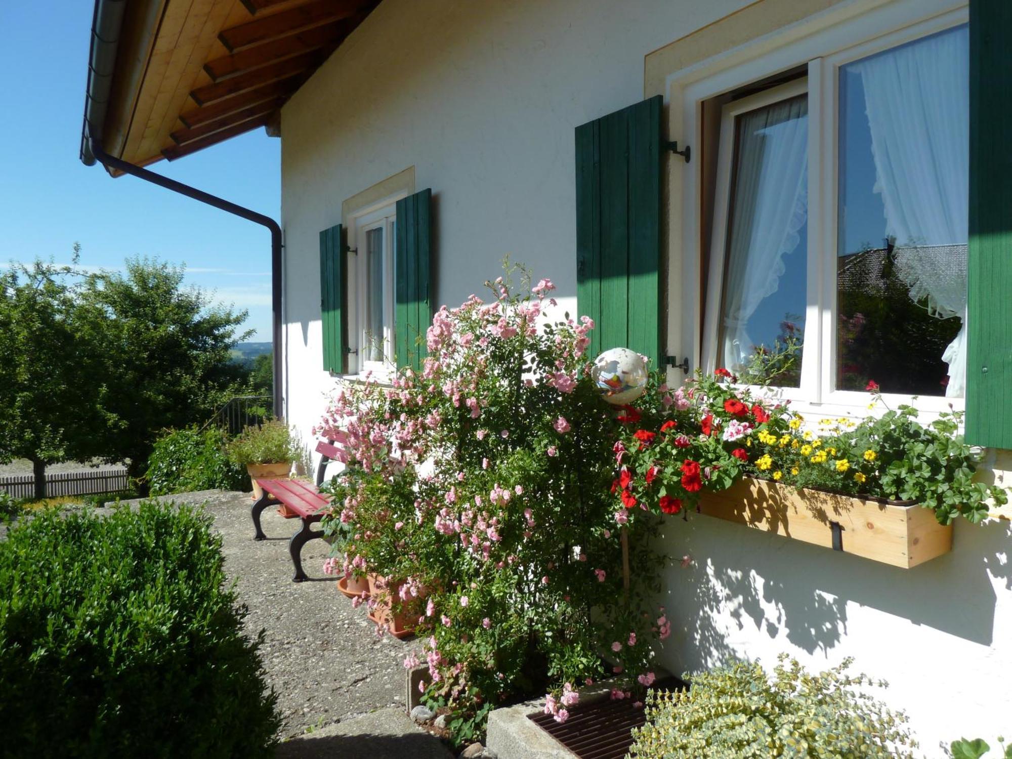 Ferienwohnung Panorama Bad Kohlgrub Buitenkant foto